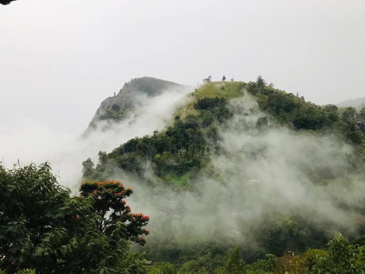 Hilltop Wood Lodge Ella Luaran gambar